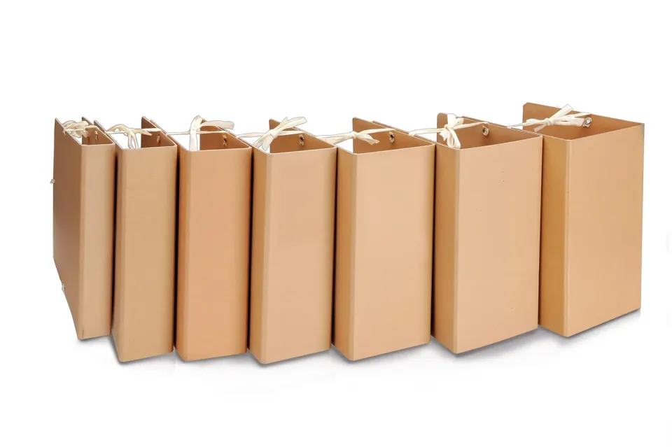 Euro Cart Faldone con Lacci Avana Dorso 18cm Archivio