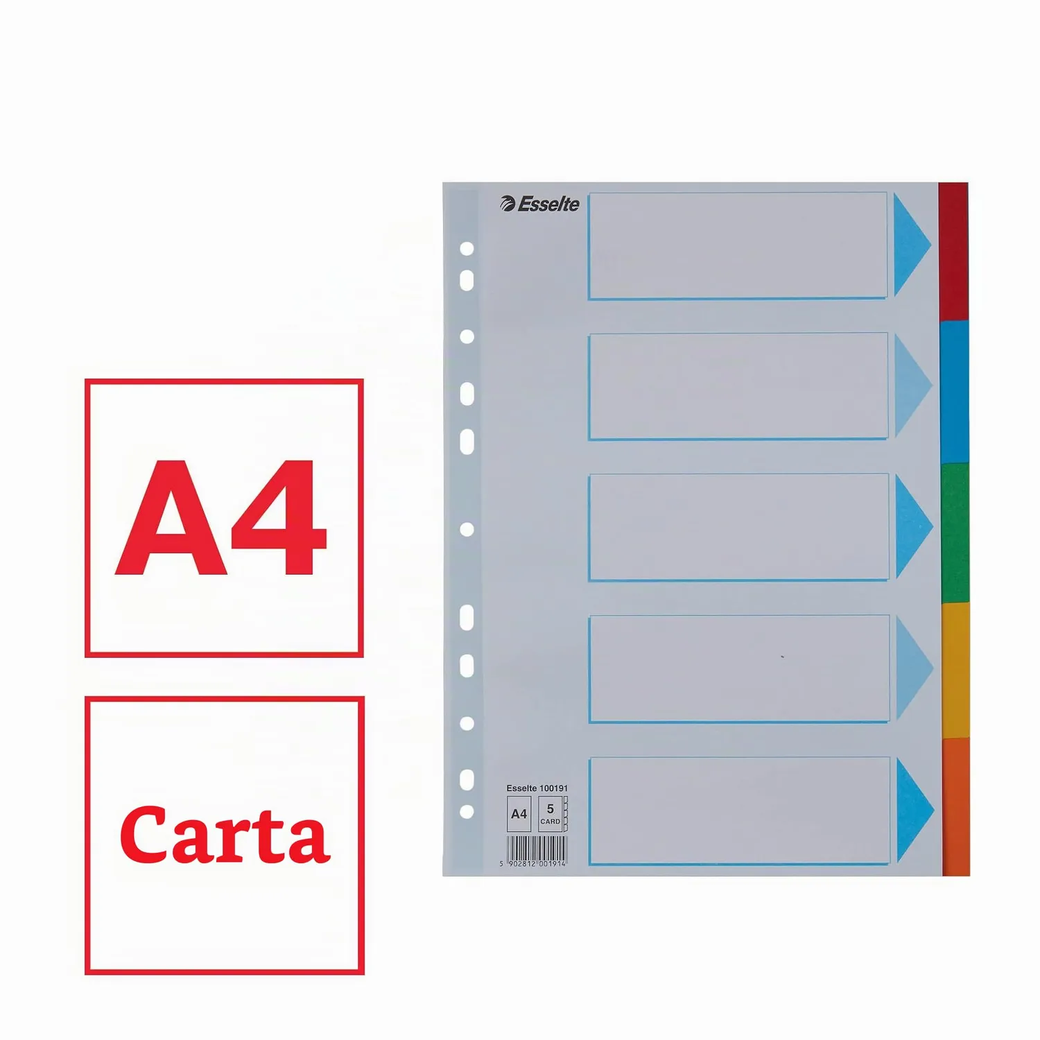 Esselte 100191 divisori A4 5 tasti multicolore riciclati