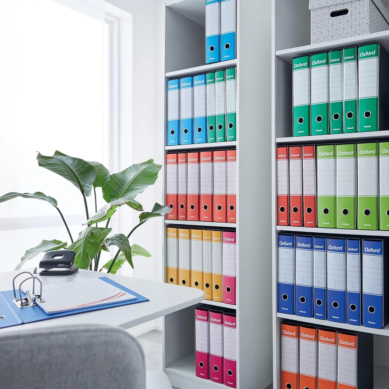 Esselte Oxford Color Mix 390785111 registratori 6pz 8cm
