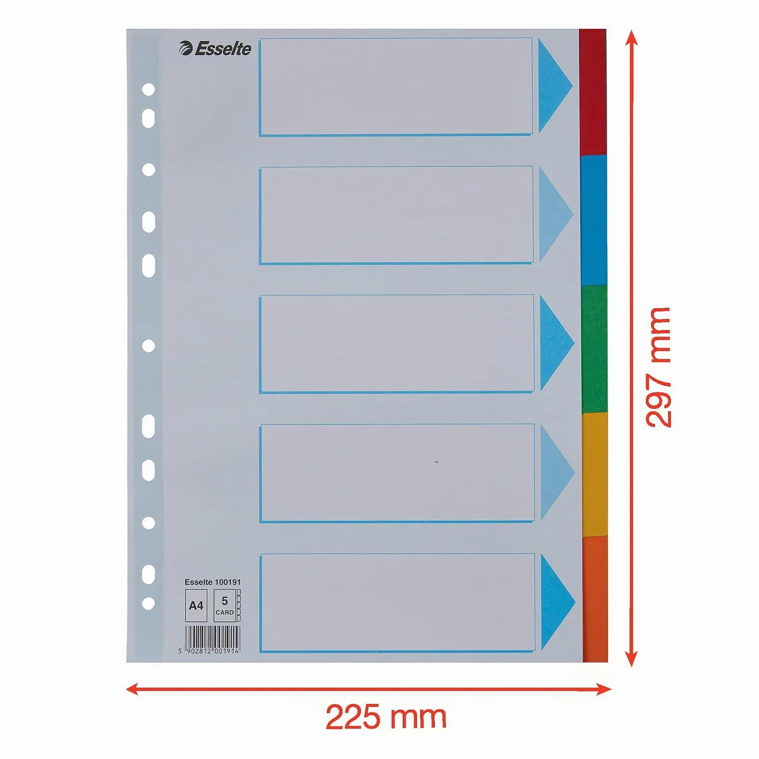 Esselte 100191 divisori A4 5 tasti multicolore riciclati