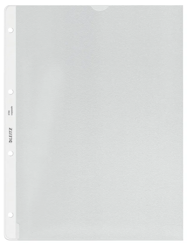 Leitz MyBox 47800303 buste perforate A4 100 pezzi goffrate