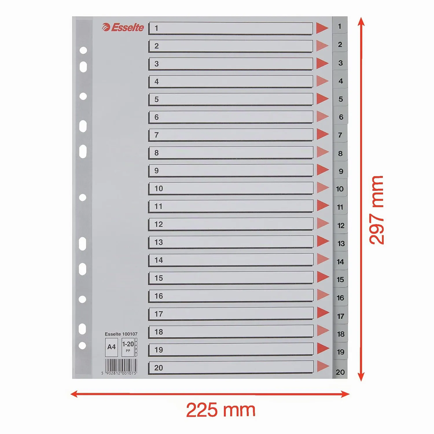 Esselte 100107 rubrica divisori 1-20 A4 grigio 20 tasti