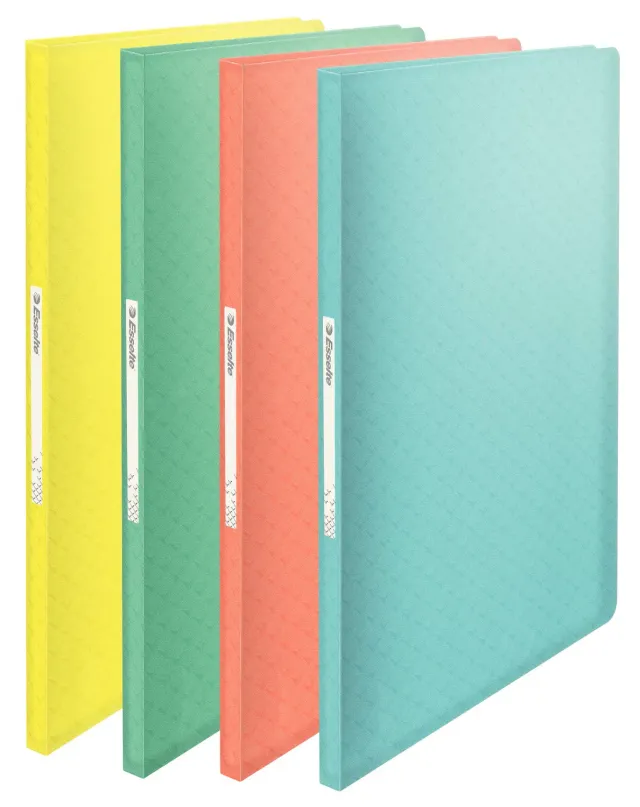 Esselte Colour'Ice 626229 portalistino 40 buste 20 pz assortiti