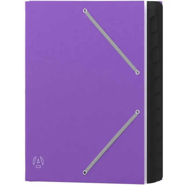 Acropaq smistatore documenti A4 12 scomparti 32x24 cm viola