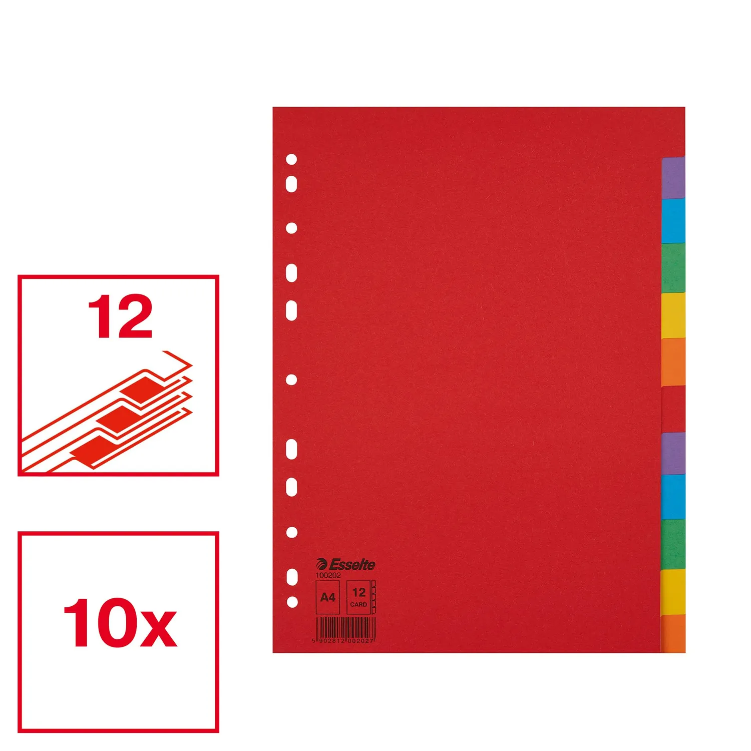 Esselte Divisori 100202 12 Tasti A4 Multicolore 10 pezzi