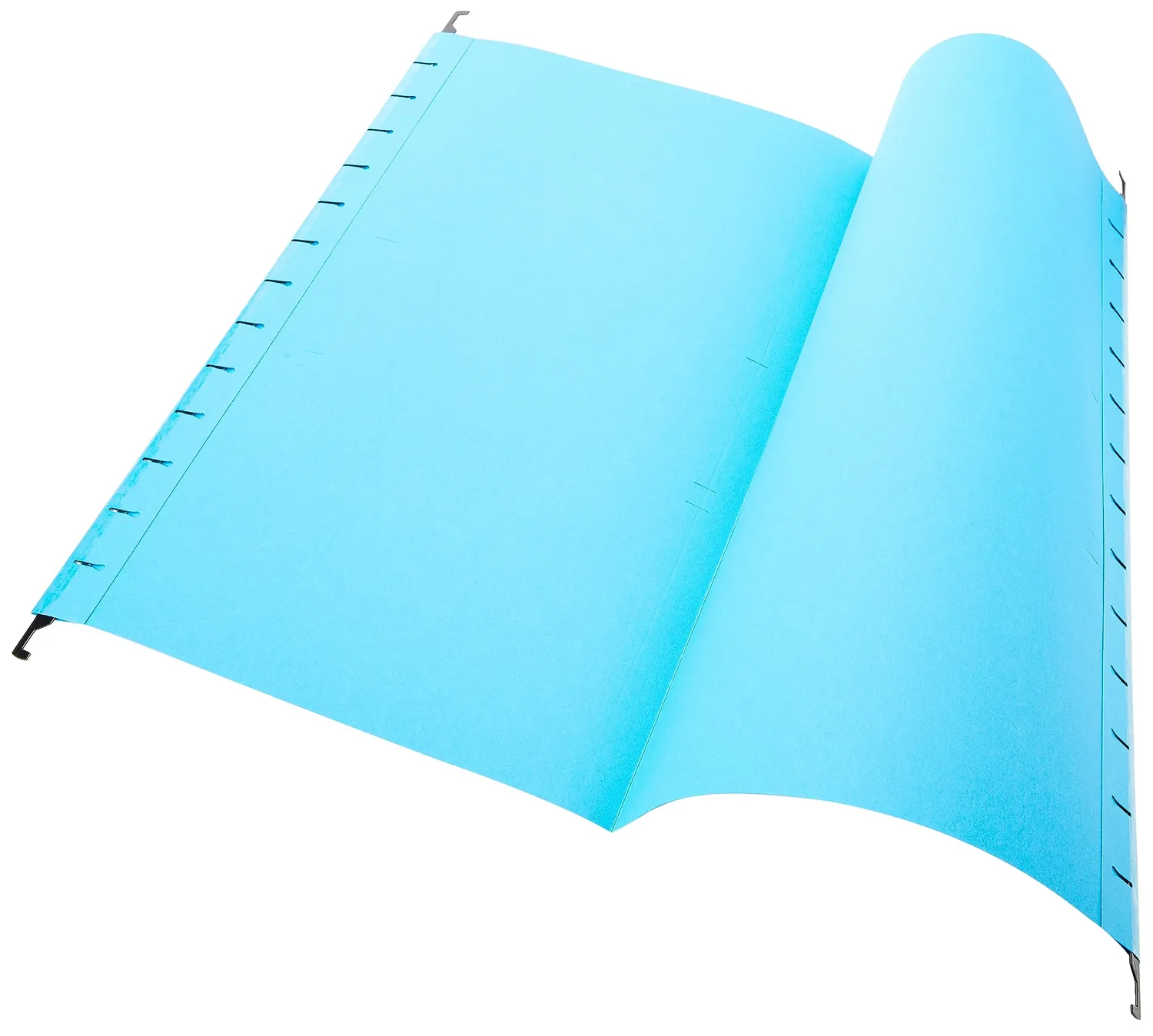Esselte Classic 390-V cartelle sospese A4 confezione 25 blu