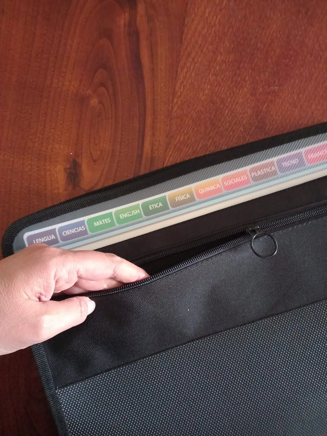 ABClife Cartella Documenti Zip A4 13 Tasche Colorata
