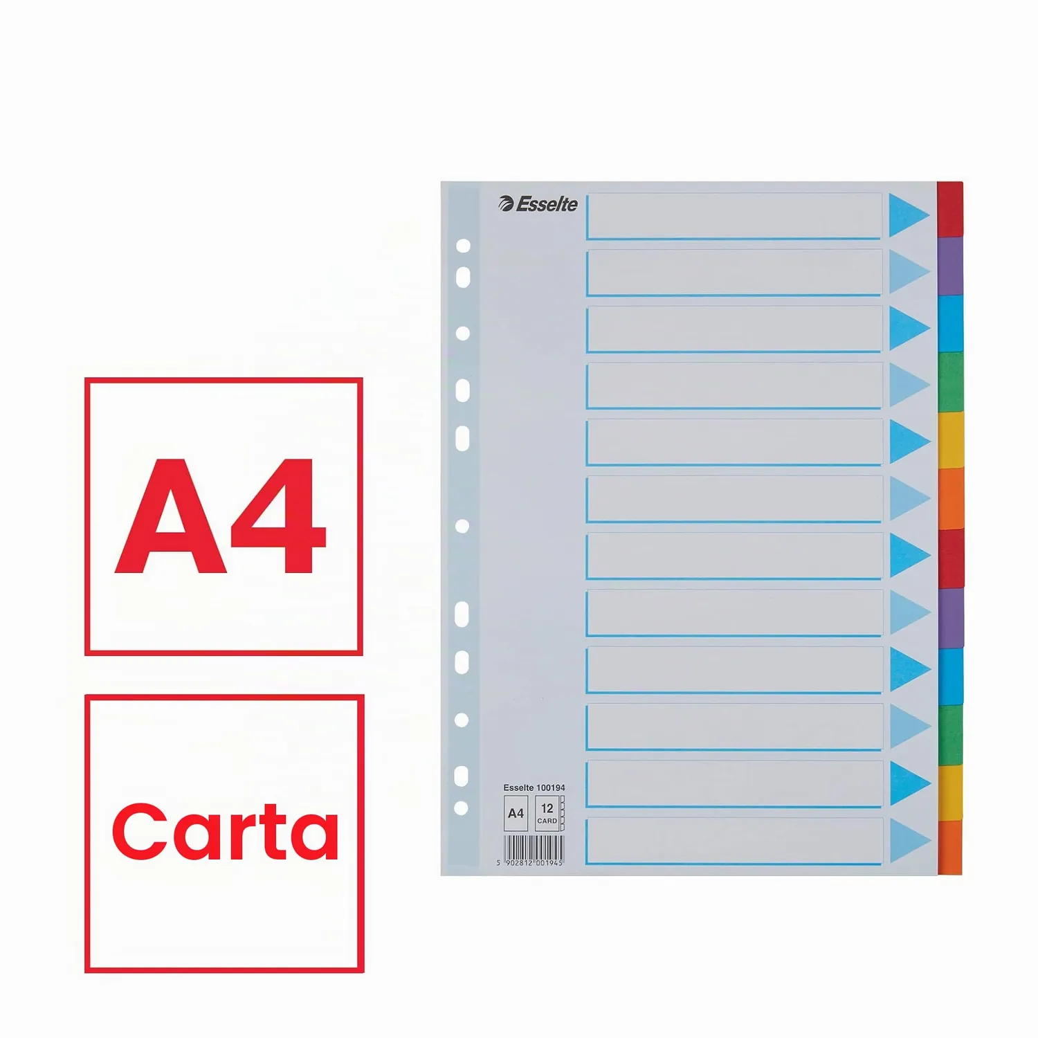 Esselte divisori A4 12 tasti multicolore cartoncino 100194