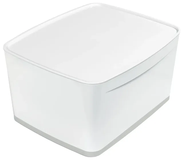 Leitz MyBox 52161001 Contenitore con Coperchio L 18 L Bianco/Grigio