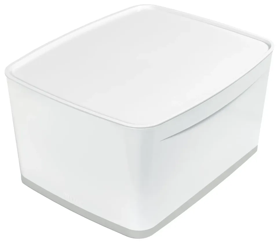 Leitz MyBox 52161001 Contenitore con Coperchio L 18 L Bianco/Grigio