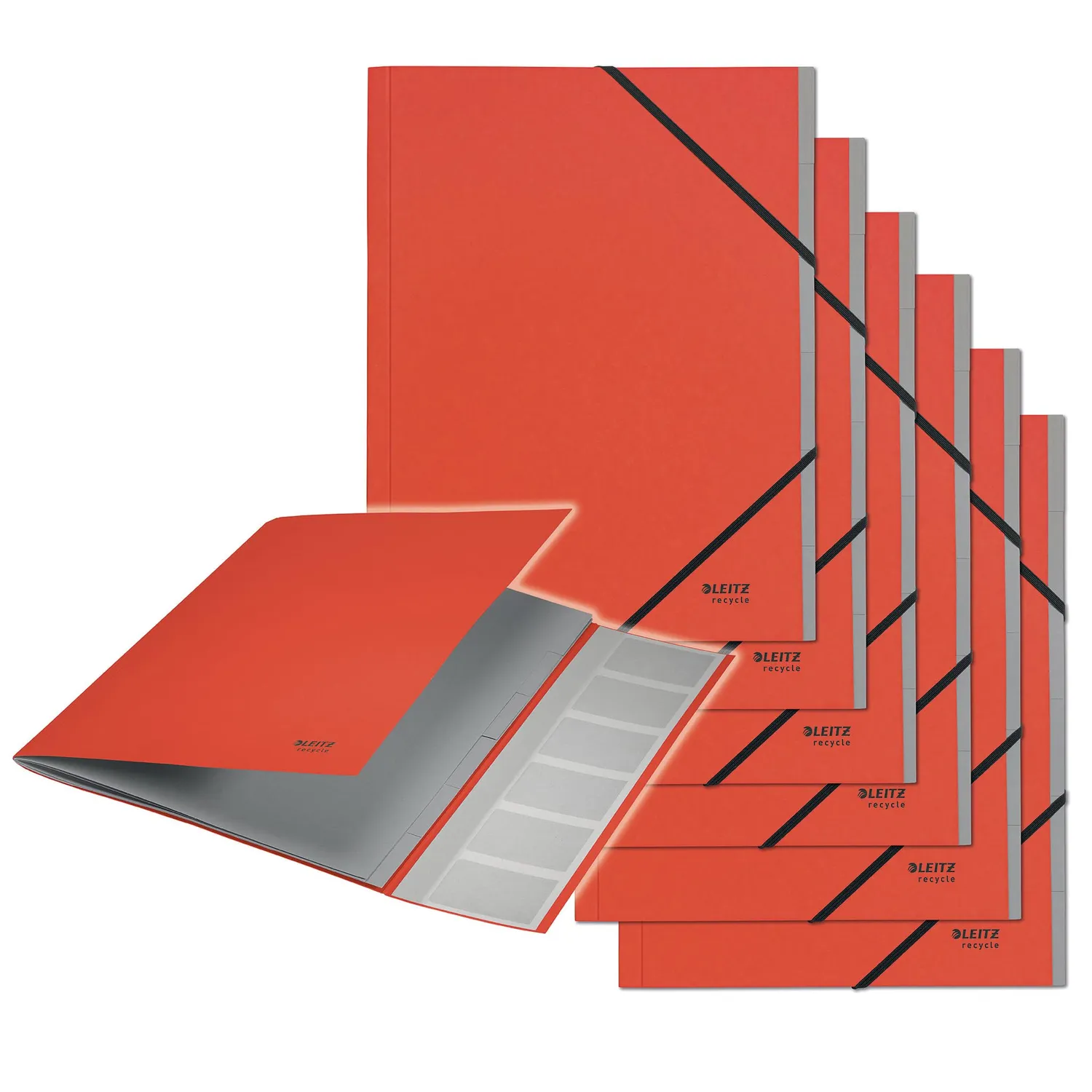 Leitz Ergo WOW 39140095 cartellina 6 divisori A4 nero 1 pezzo