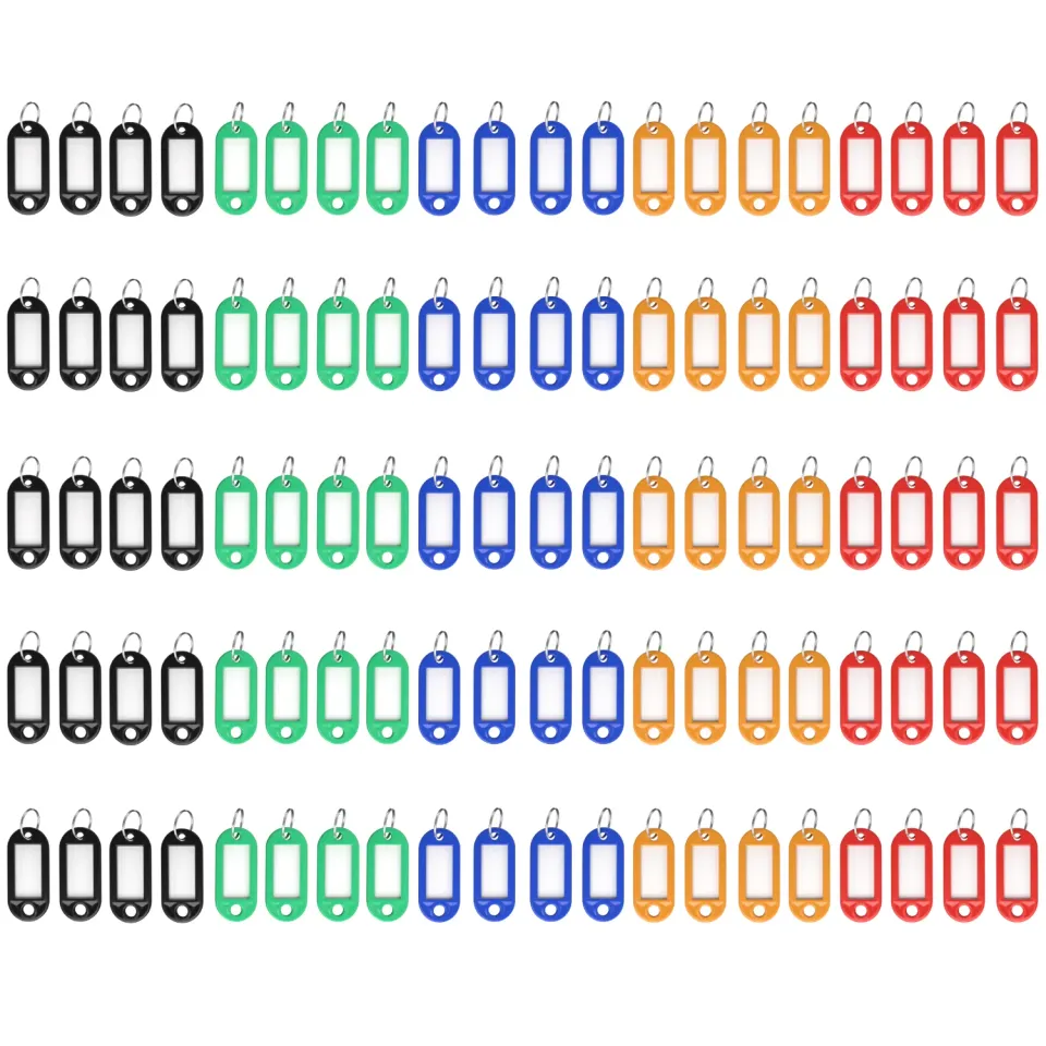 ACROPAQ Etichette Portachiavi 100 Pezzi 5 Colori con Anelli