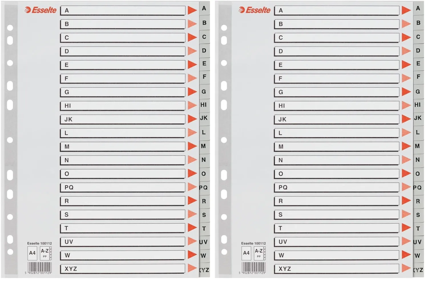 Esselte 100112 rubrica alfabetica A4 grigia A-Z