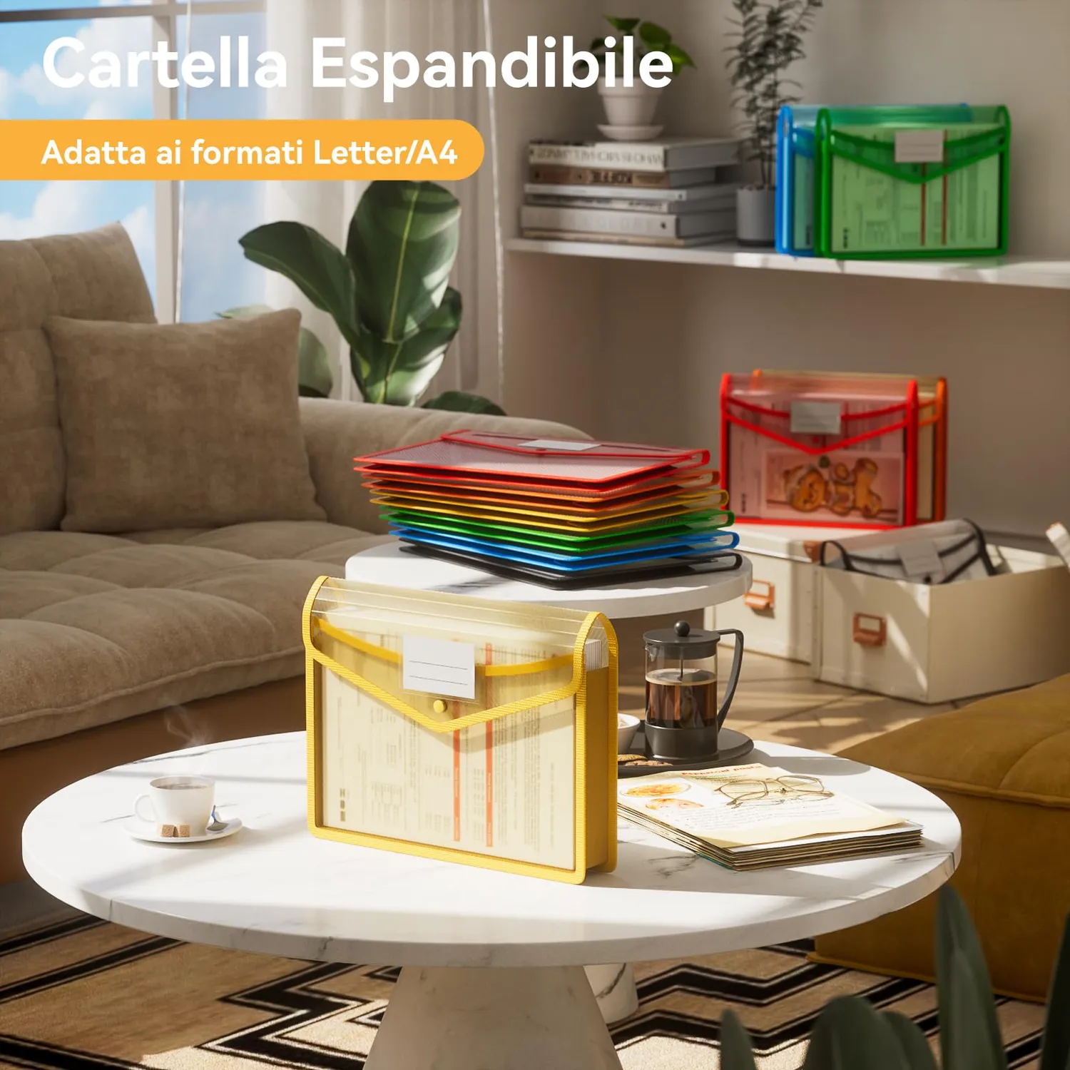 ABClife Cartelle A4 Plastica 6 Pezzi Colorate Bottone