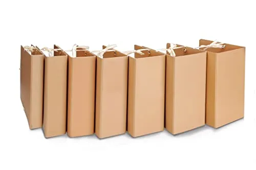 Euro Cart Faldone con Lacci Avana Dorso 18cm Archivio