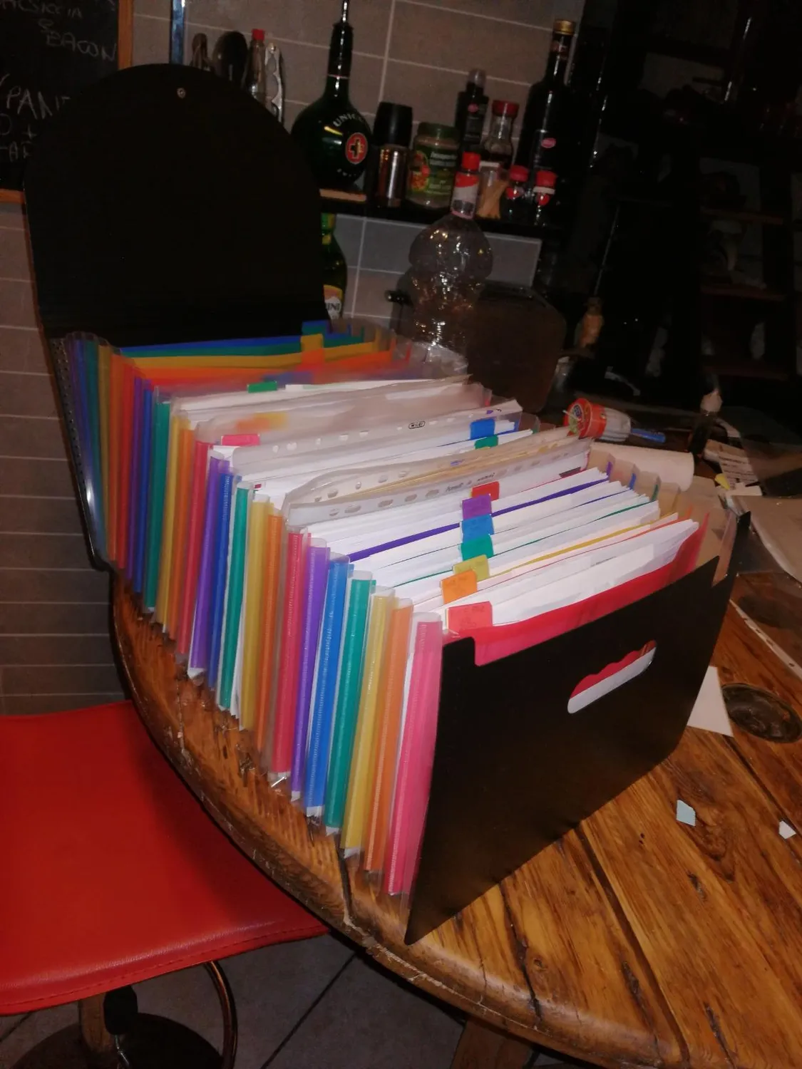 ABClife Portadocumenti A4 Fisarmonica 12 tasche multicolore coperchio