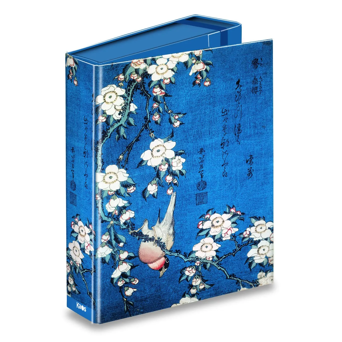 Kaos Van Gogh Cielo Stellato cartelletta A4 dorso 7cm elastico