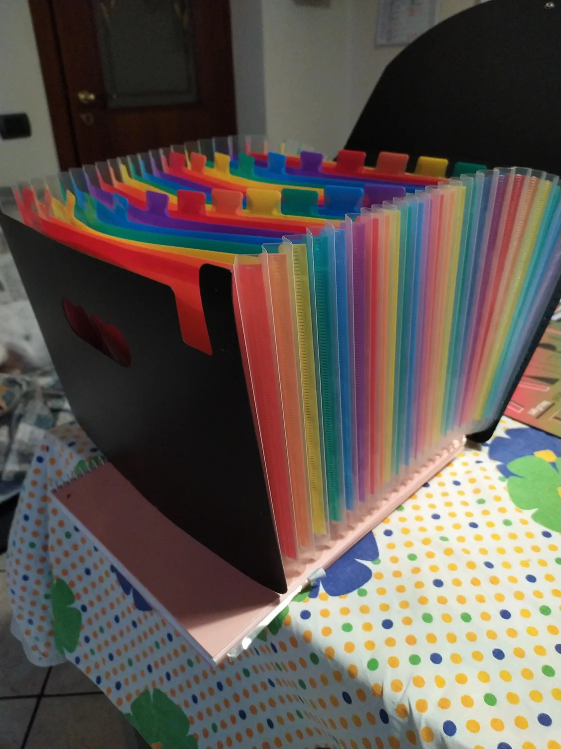 ABClife Portadocumenti A4 Fisarmonica 12 tasche multicolore coperchio