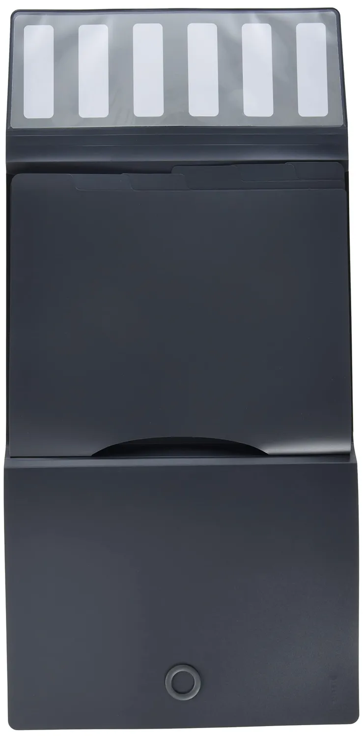 Leitz Ergo WOW Solid cartellina A4 6 scomparti nera