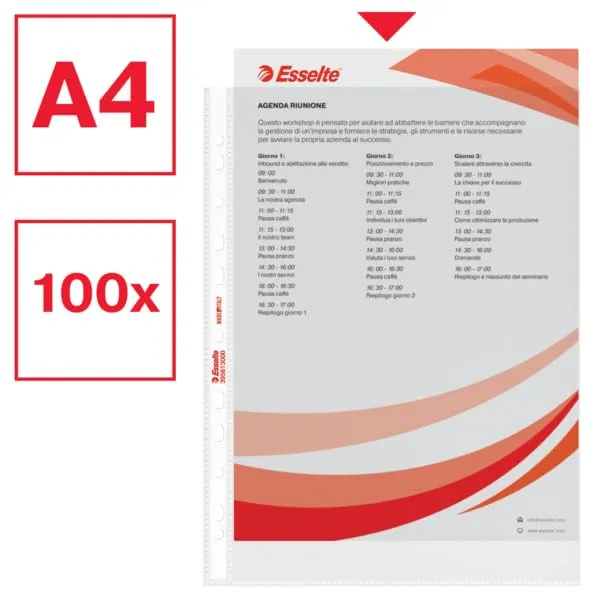 Esselte G85 Oxford Color Mix registratori leva 6 pezzi con 100 buste A4