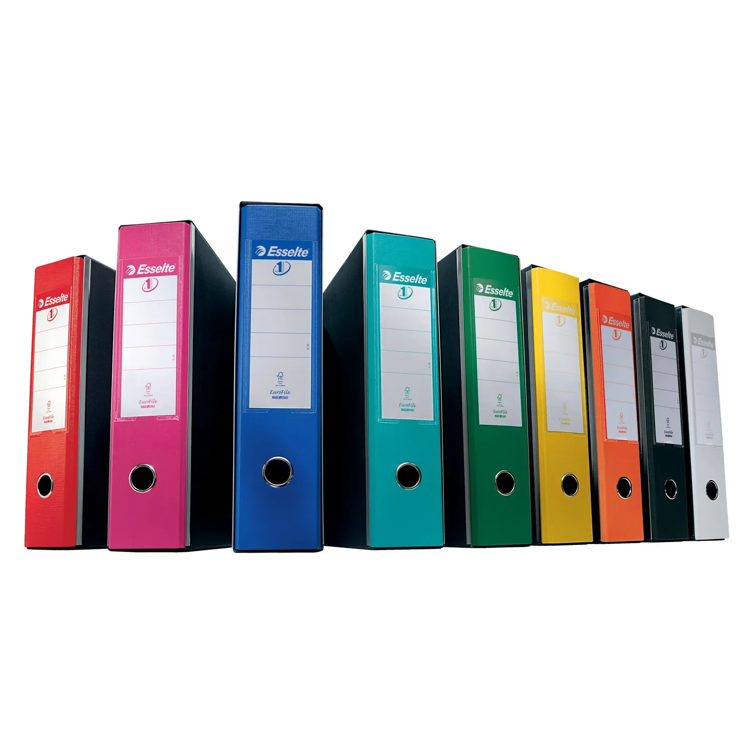 Esselte G55 Eurofile registratore protocollo bianco dorso 8 cm 500 fogli