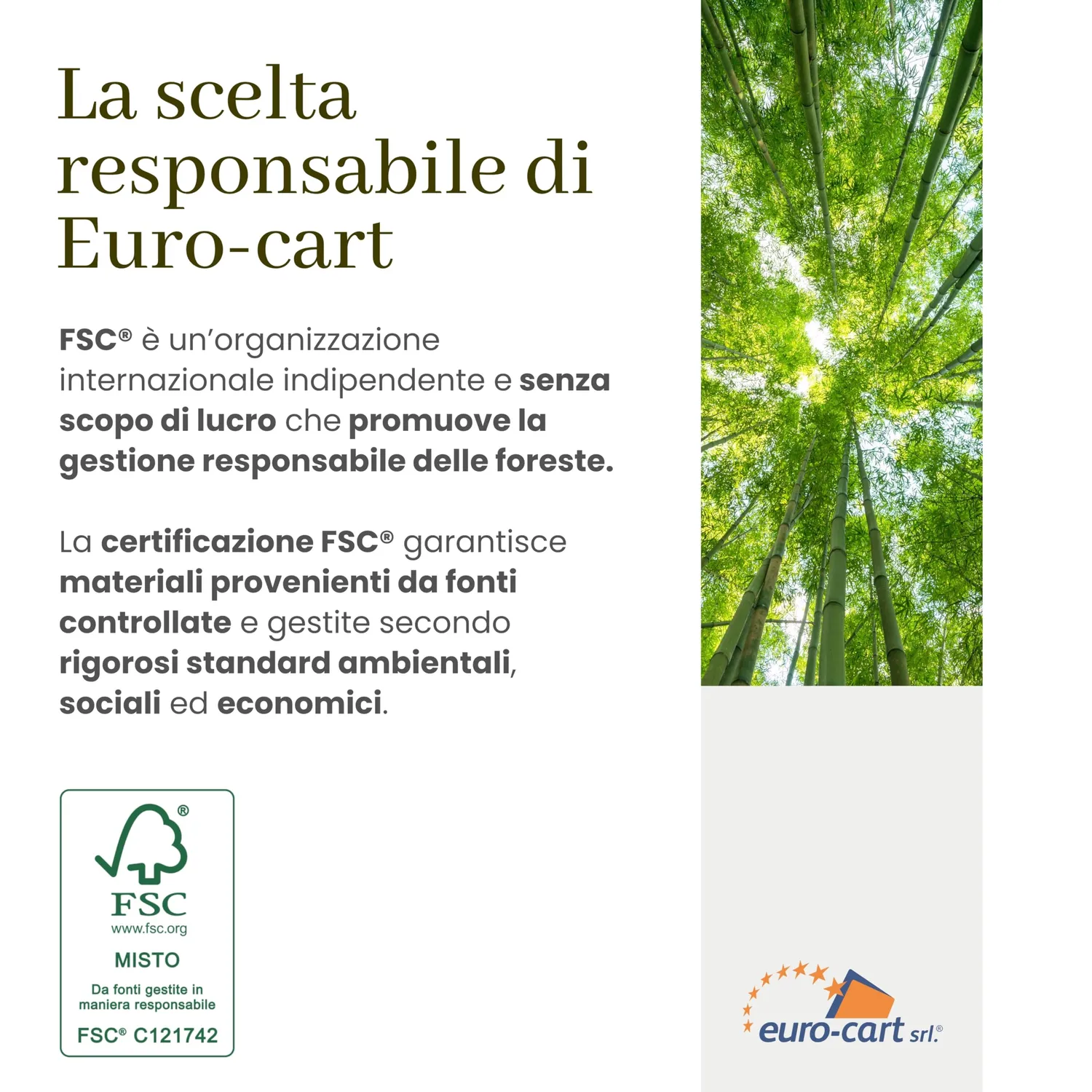 Euro Cart Eco-Elite cartellina 3 lembi avana 25 pezzi A4