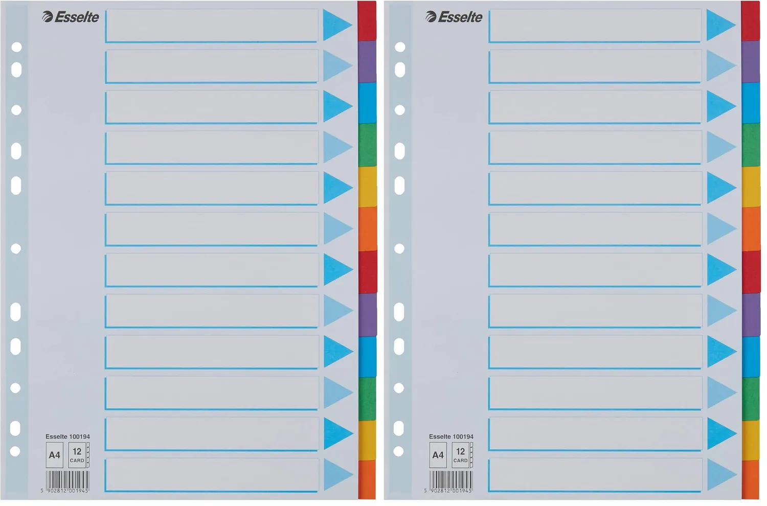 Esselte divisori A4 12 tasti multicolore cartoncino 100194