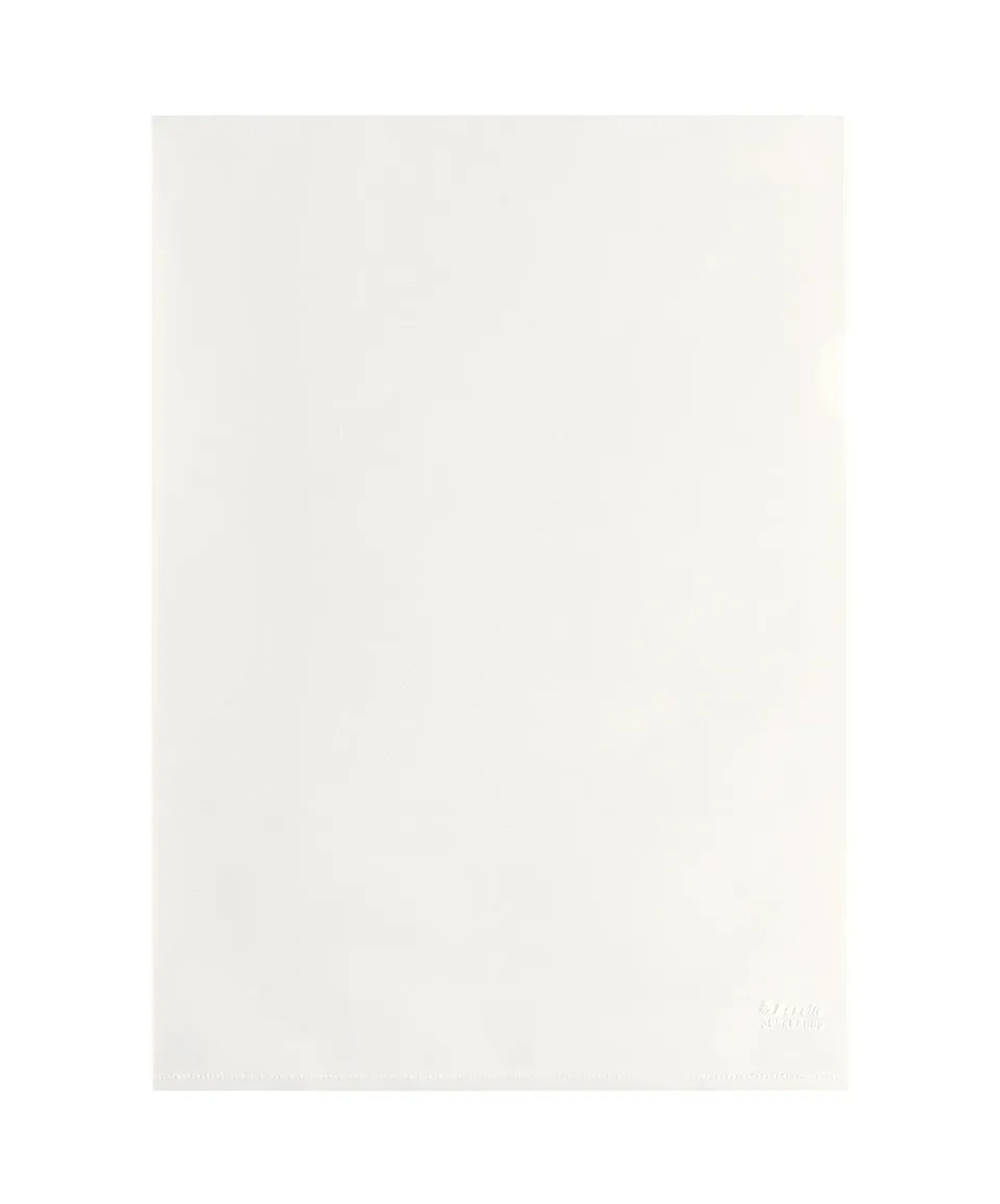 Esselte 395484000 buste L antiriflesso 22x30 conf. 100