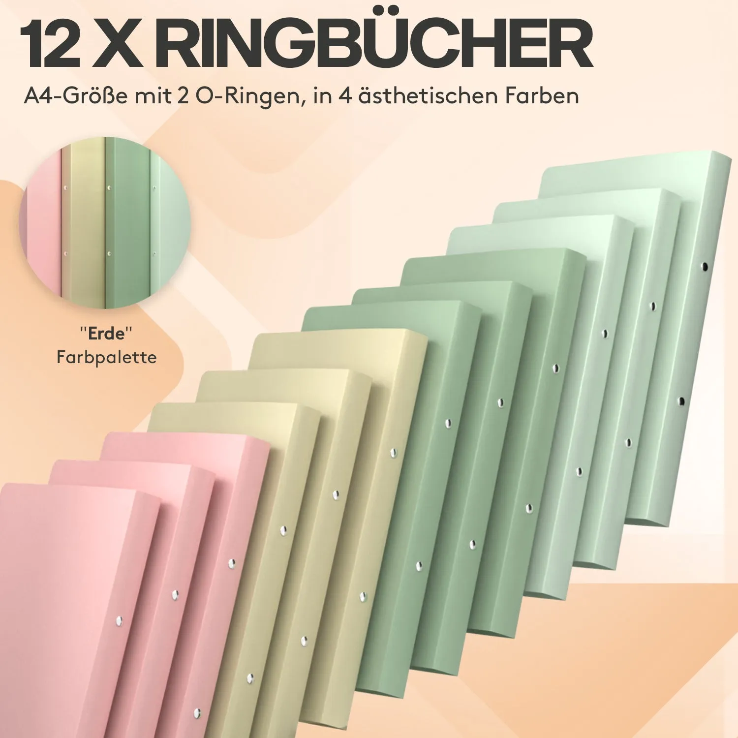 ACROPAQ Raccoglitori A4 2 anelli 12 pezzi Nature 2,5 cm