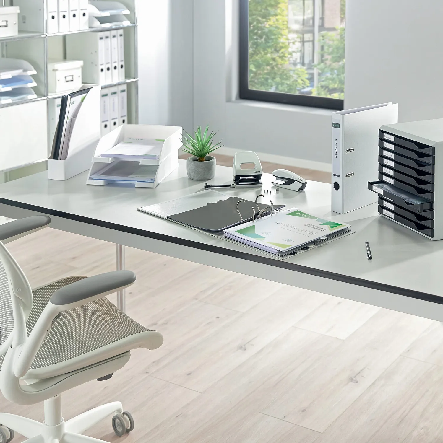 Leitz Plus 52270203 vaschetta A4 trasparente satinata