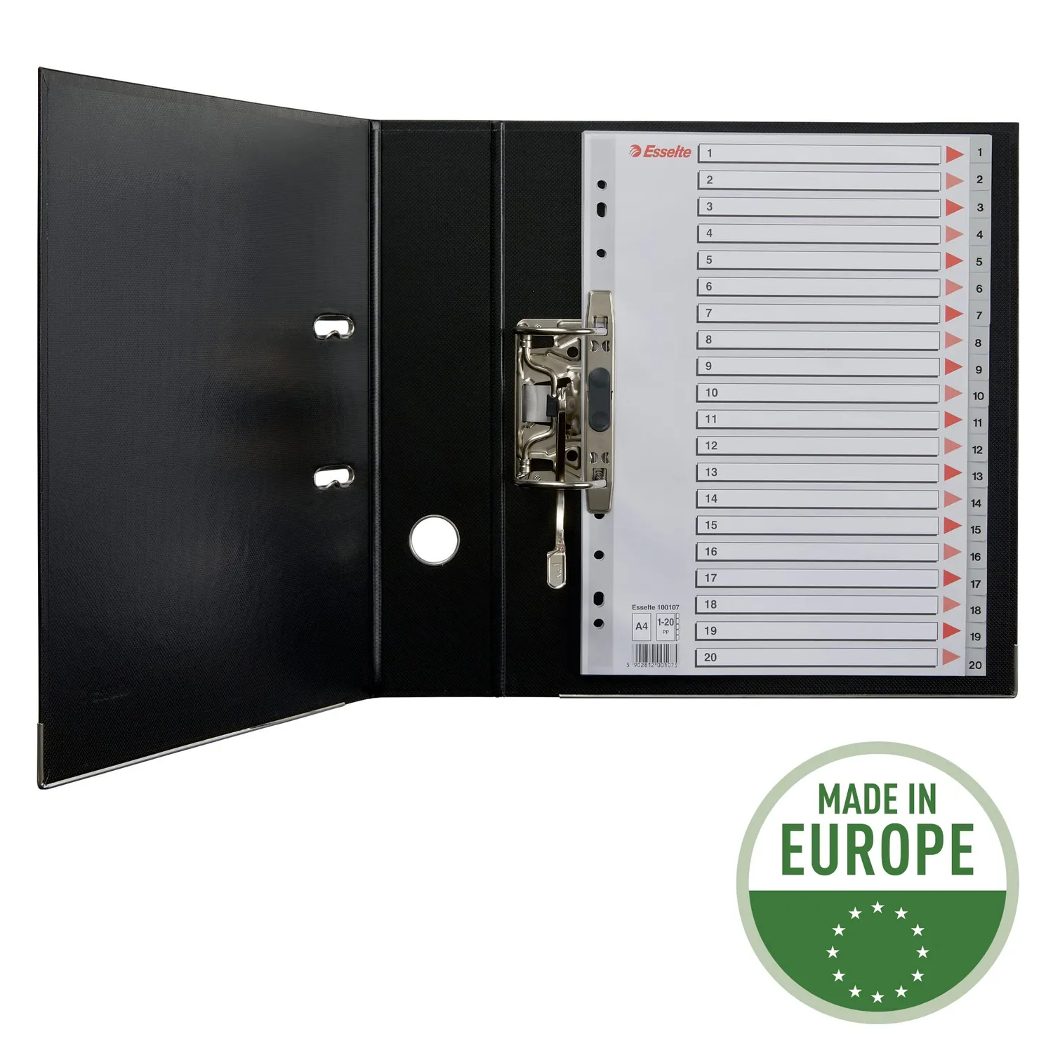 Esselte 100107 rubrica divisori 1-20 A4 grigio 20 tasti