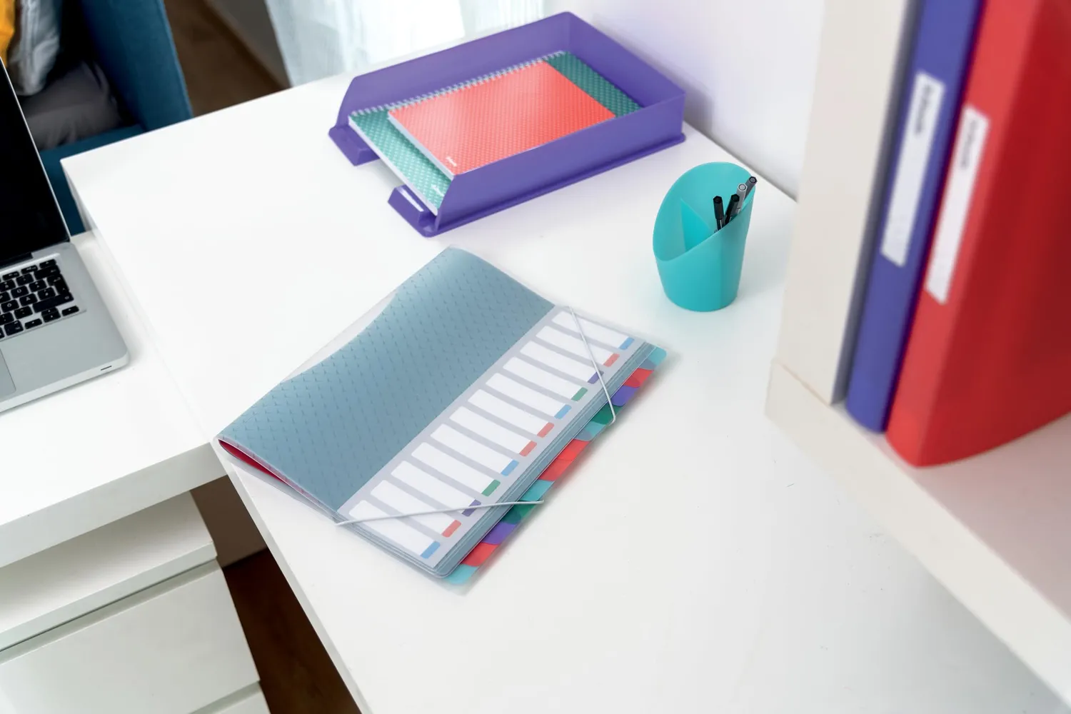 Esselte Colour'Breeze quaderno 12 divisori A4 multicolore elastico