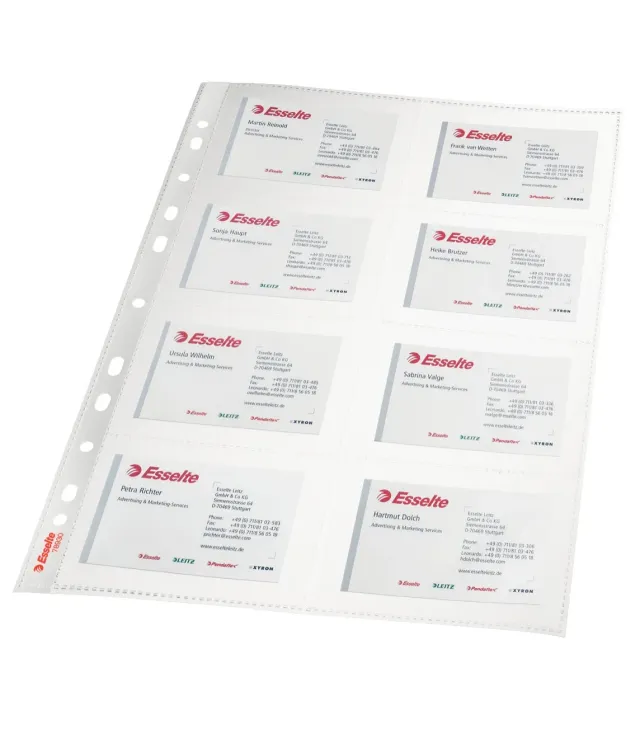 Oxford Esselte 78930 buste porta biglietti A4 10 pz lucide