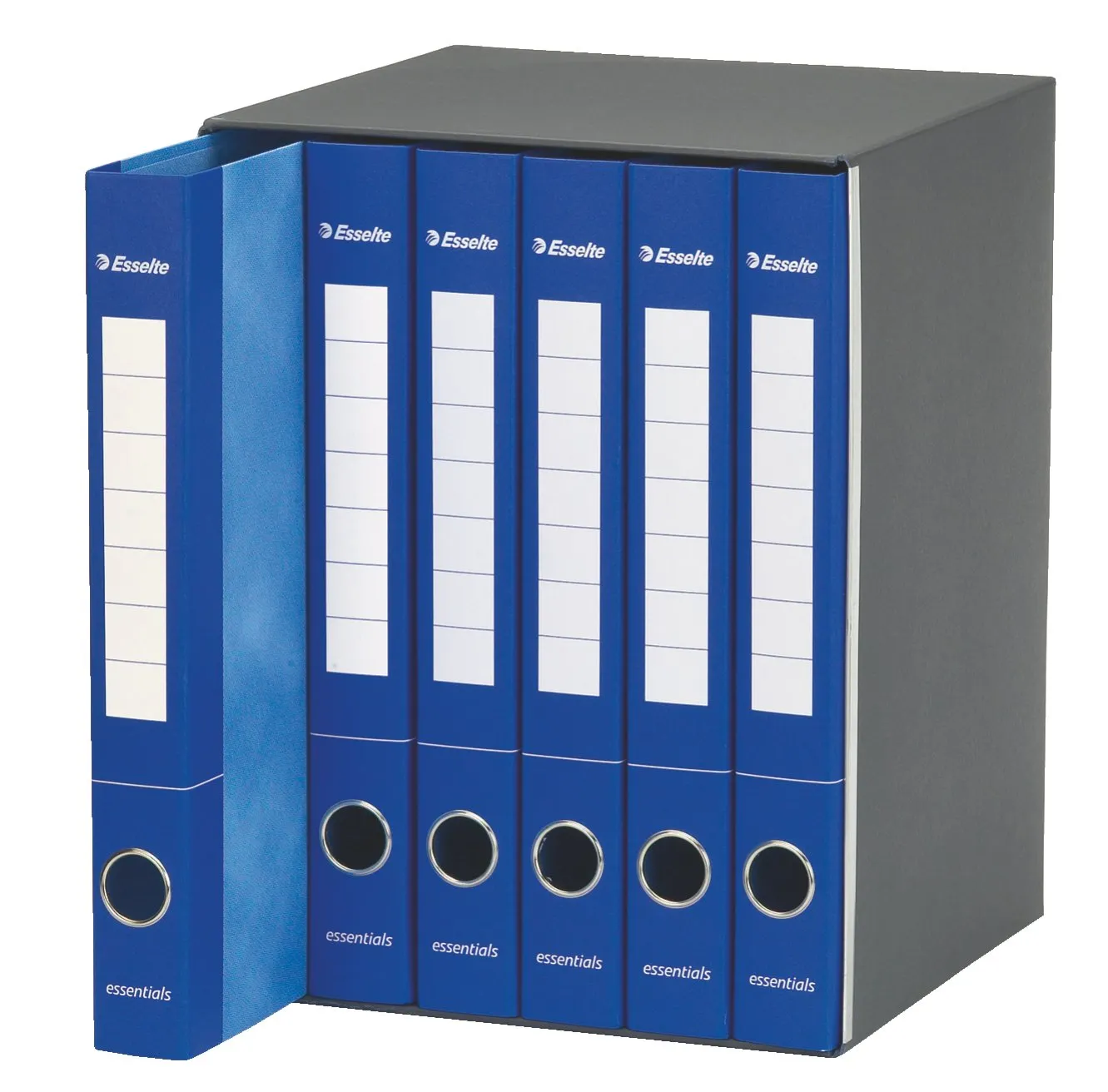 Esselte Essentials 391965000 raccoglitore 2 anelli assortiti 6 pezzi dorso 4 cm