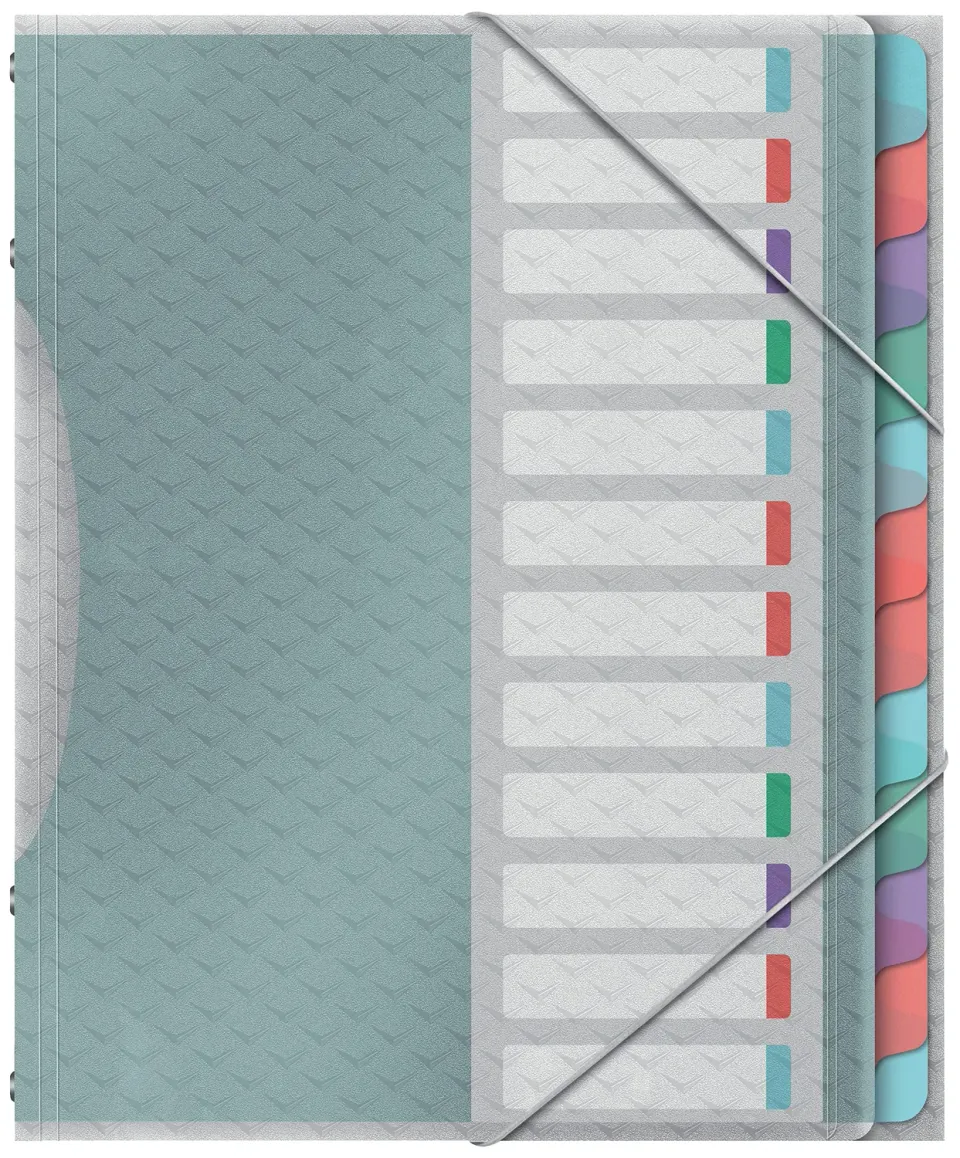 Esselte Colour'Breeze quaderno 12 divisori A4 multicolore elastico