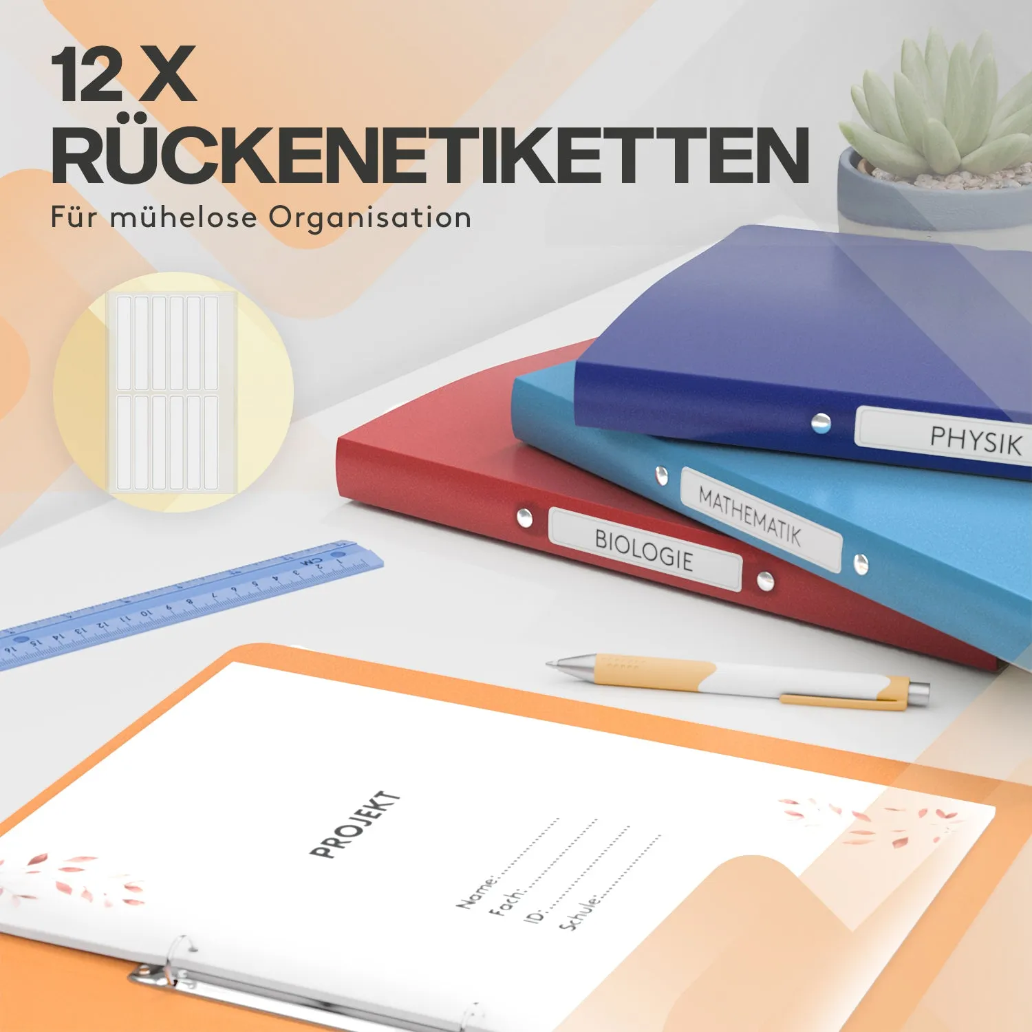 ACROPAQ Raccoglitori A4 Set 12 Pezzi 2 Anelli Colorati