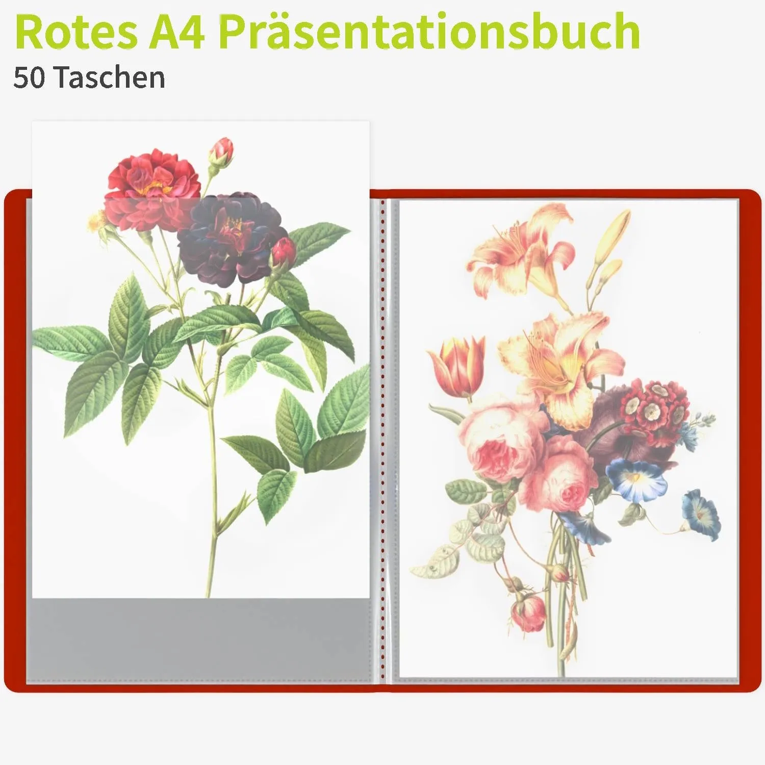 ACROPAQ Portalistino A4 Rosso 50 Buste in PP