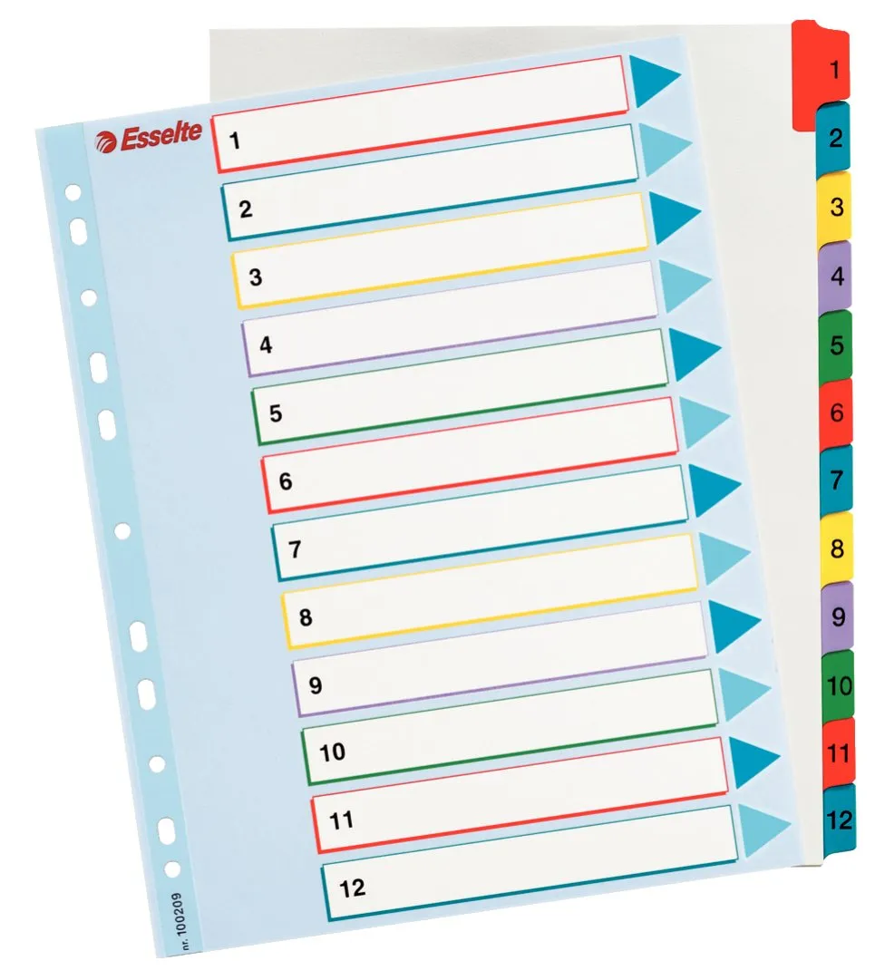 Esselte Mylar 100166 rubrica A-Z A4 multicolore