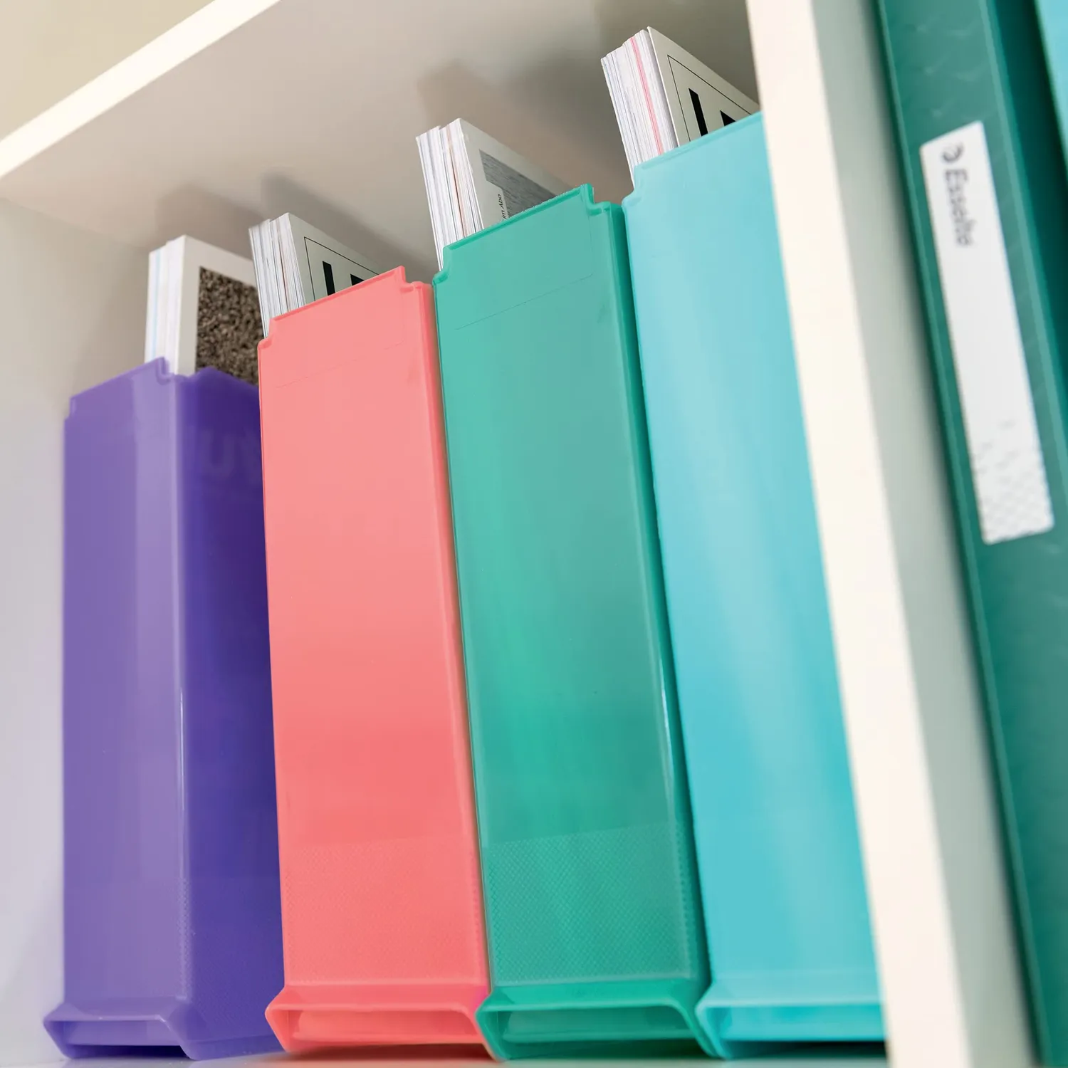 Esselte ColourBreeze 626281 portariviste A4 assortito plastica