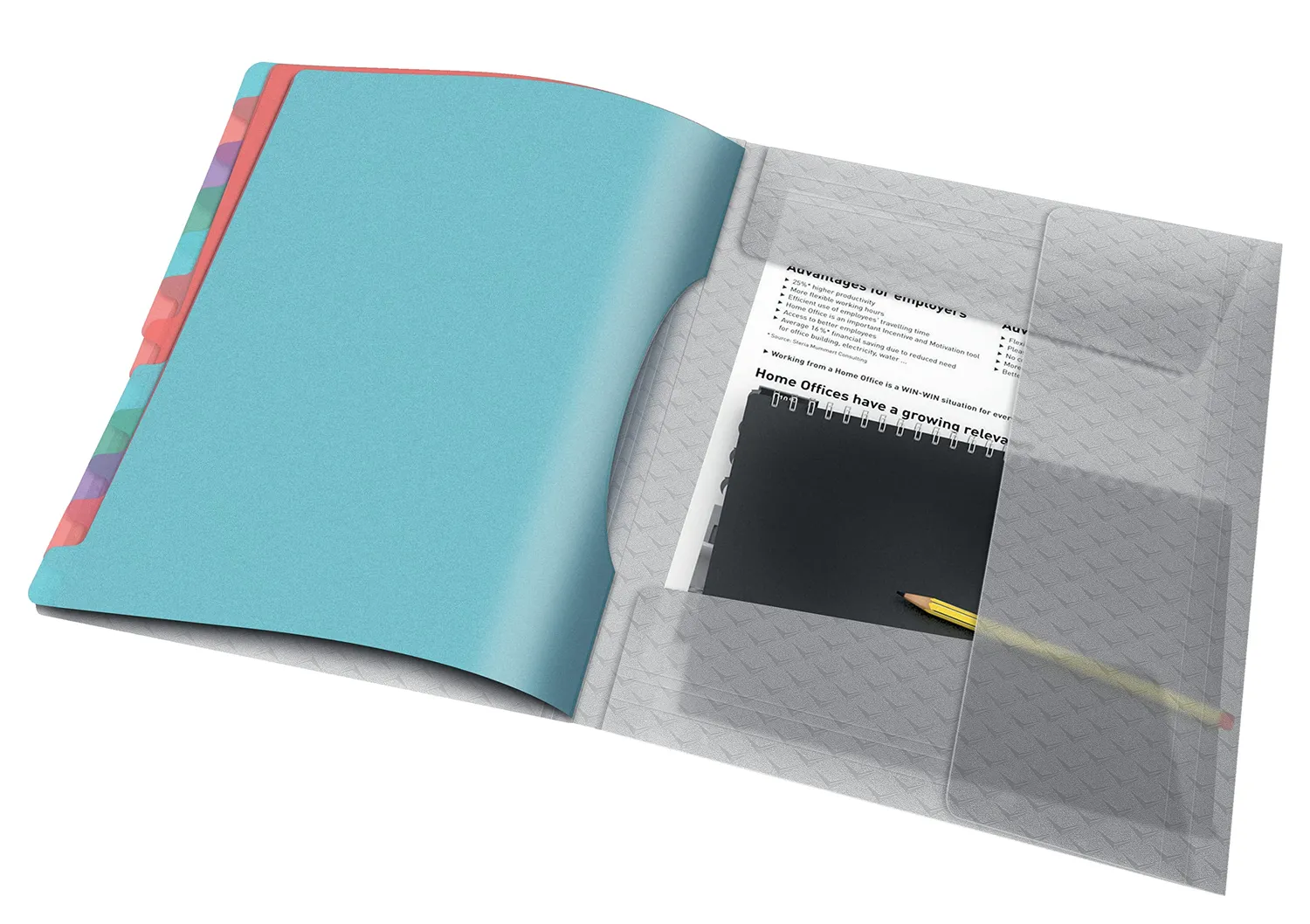 Esselte Colour'Breeze quaderno 12 divisori A4 multicolore elastico