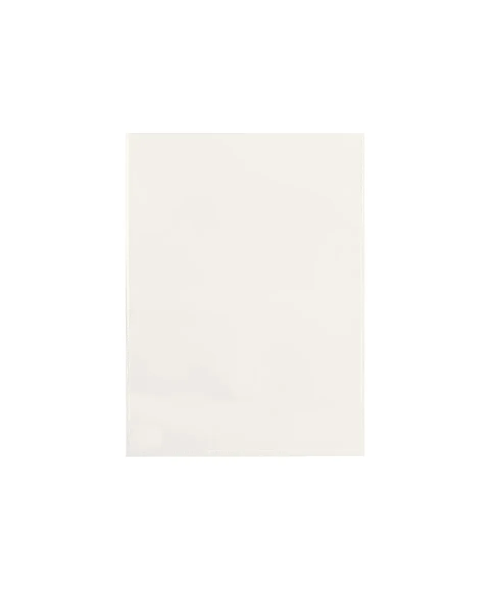 Esselte De Luxe buste trasparenti 15x21 cm 25 pezzi