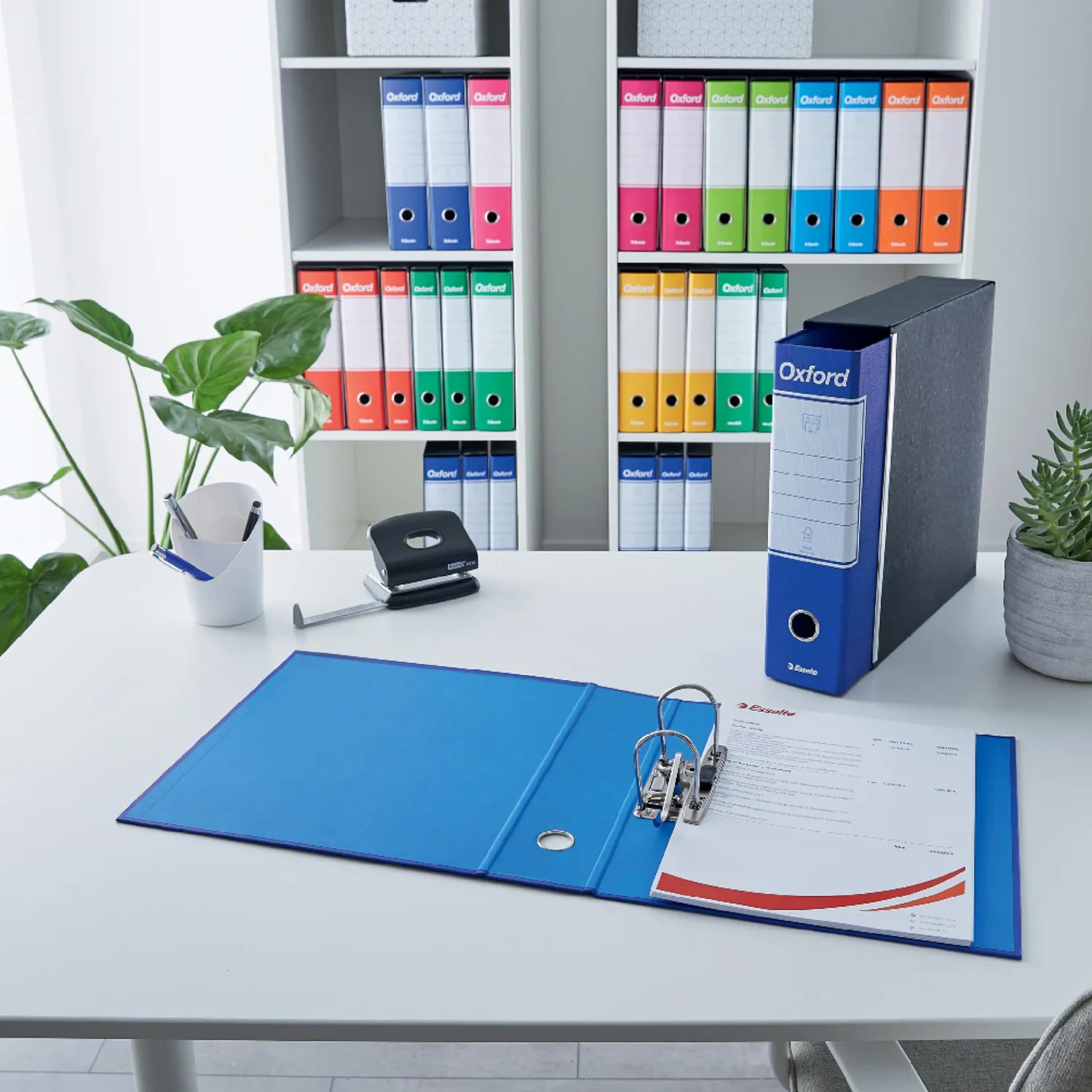 Esselte Oxford G85 Registratore Protocollo Blu 6 Pezzi Dorso 8 cm