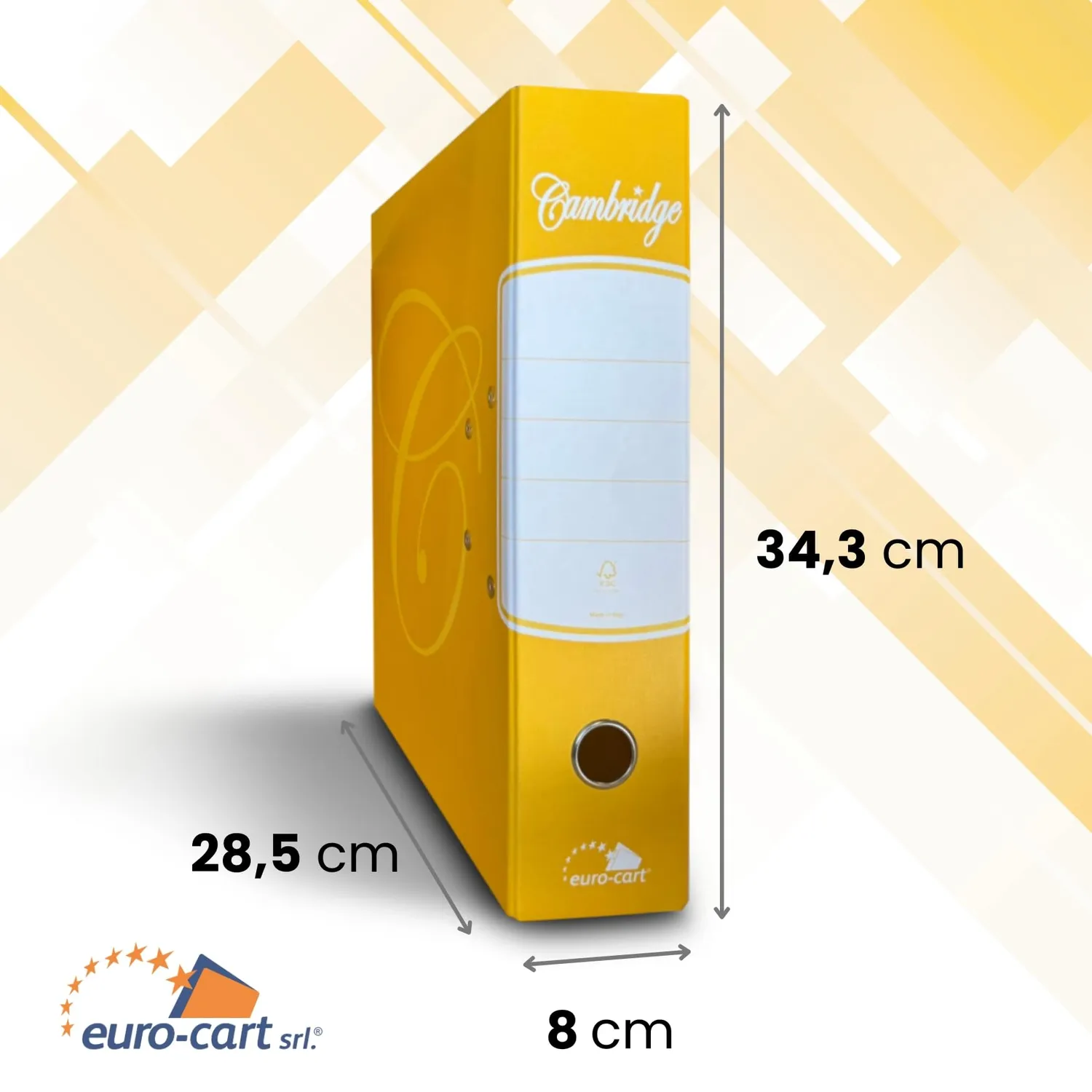 Euro-Cart Registratore Leva Protocollo raccoglitore A4 6 pezzi dorso 8cm