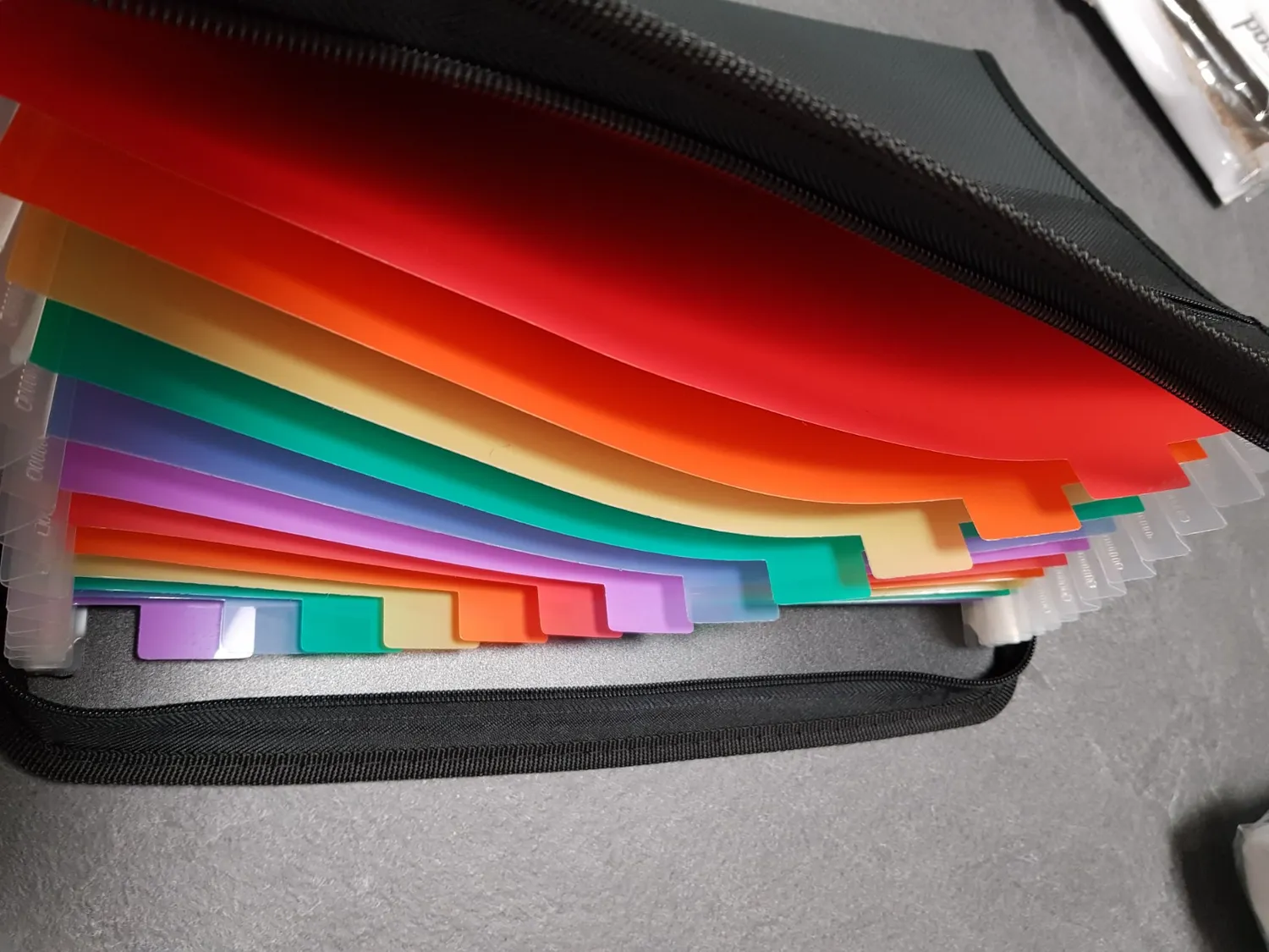 ABClife Cartella Documenti Zip A4 13 Tasche Colorata
