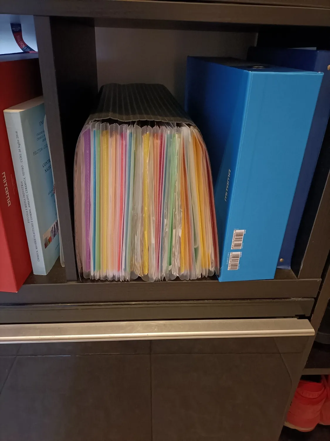 ABClife Portadocumenti A4 Fisarmonica 12 tasche multicolore coperchio