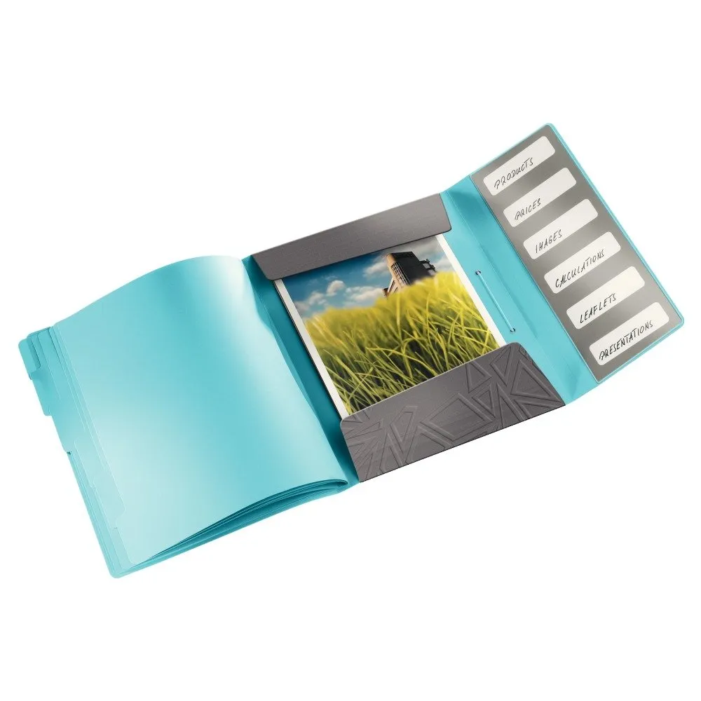 Leitz Ergo WOW 39490089 libro organizzatore grigio
