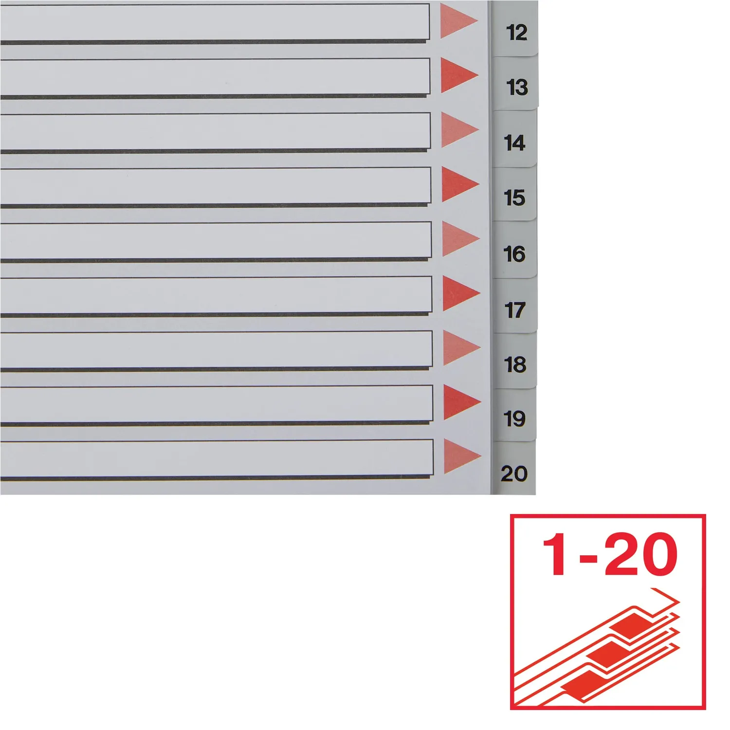 Esselte 100107 rubrica divisori 1-20 A4 grigio 20 tasti