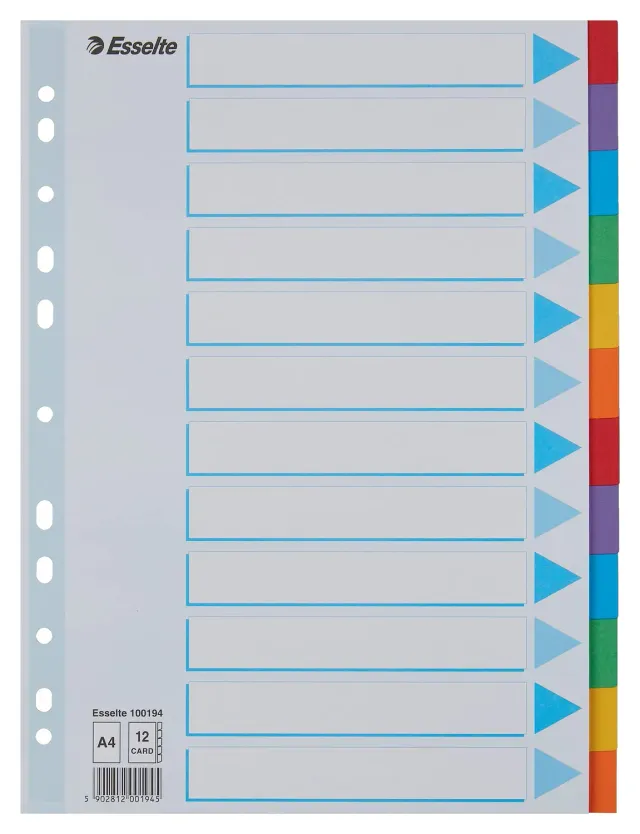 Esselte divisori A4 12 tasti multicolore cartoncino 100194