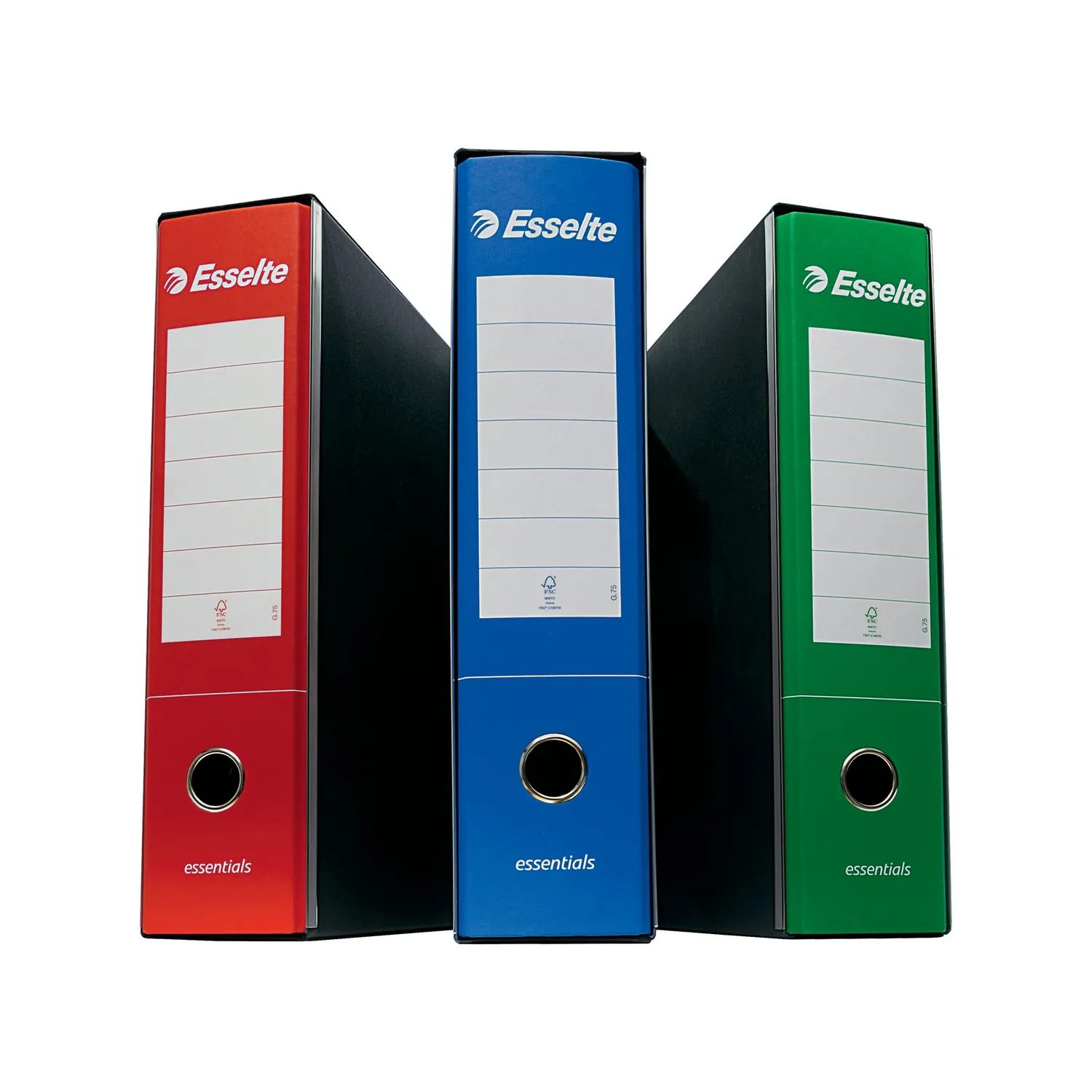 Esselte Essentials 390775050 registratore protocollo blu 8 cm