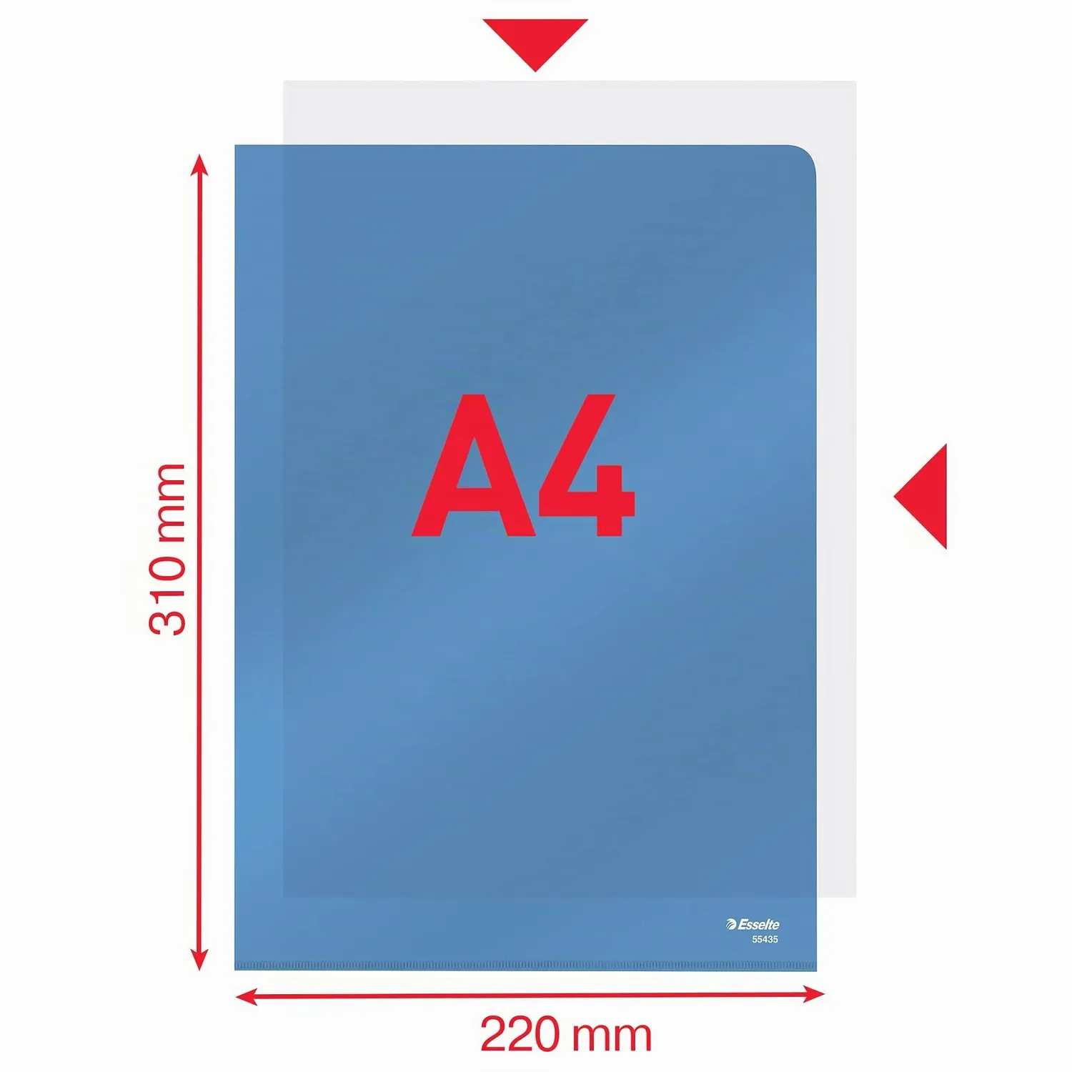 Esselte Buste Trasparenti A4 Blu PVC 25 Pezzi 150 Micron